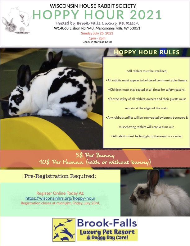 Rabbit Exercise  Wisconsin Humane Society