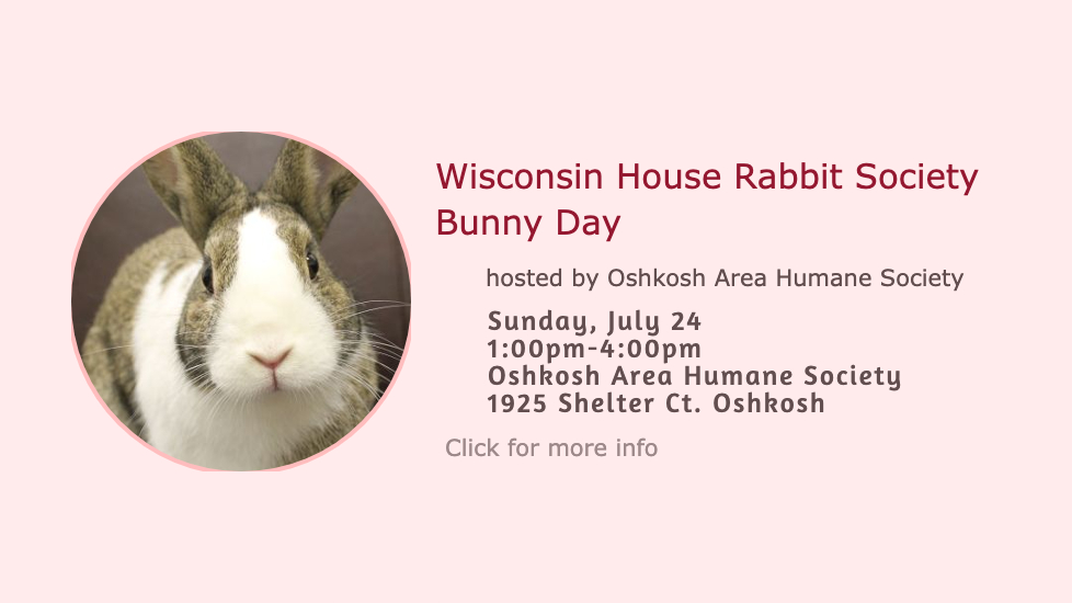 Wisconsin House Rabbit Society Rescue Adoption Education